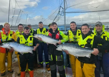 Mowi Scotland celebra caída de mortalidad del salmón