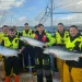 Mowi Scotland celebra caída de mortalidad del salmón