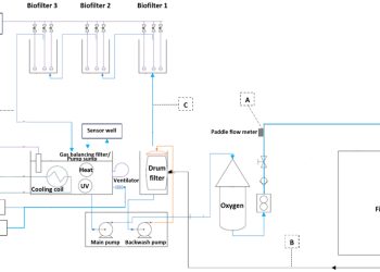 Dietas adaptadas a sistemas RAS mejoran calidad del agua y eficiencia