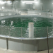 AquaBounty pone en venta su centro en Canadá para recaudar fondos