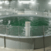 De salmones a centros de datos: AquaBounty redefine el futuro de su fallido proyecto RAS