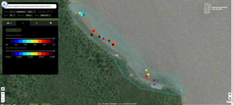 SalmonChile gestionará limpieza de playas a través de fotos satelitales e inteligencia artificial