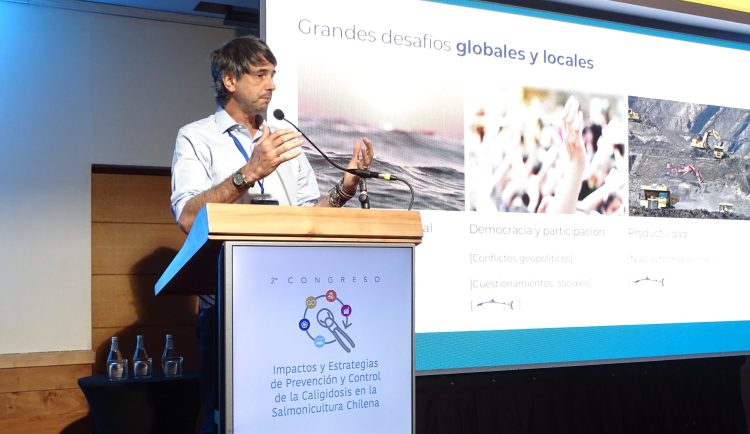 Dr. Andrés Couve, profesor titular de la Facultad de Medicina de la Universidad de Chile, Créditos InfoSALMON.