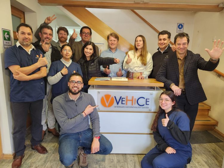 Equipo VeHiCe. Créditos Corfo.