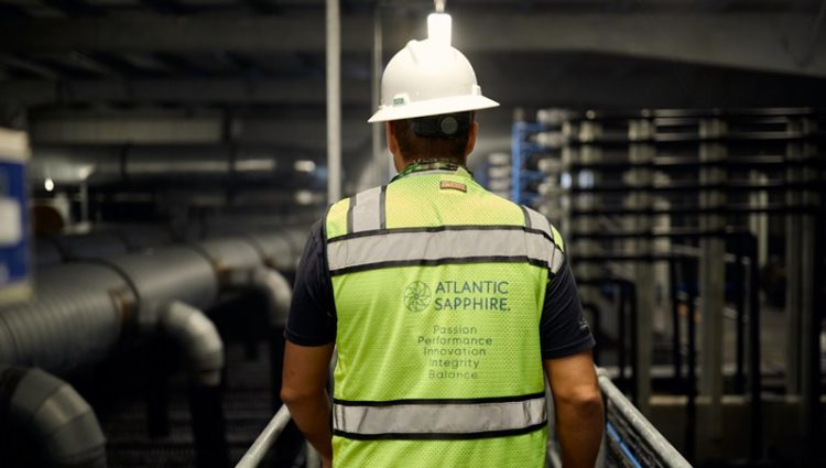 Atlantic Sapphire reporta crecimiento en peso y estabilidad biológica.