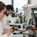 Crean laboratorio de eDNA para el sector acuícola en Escocia