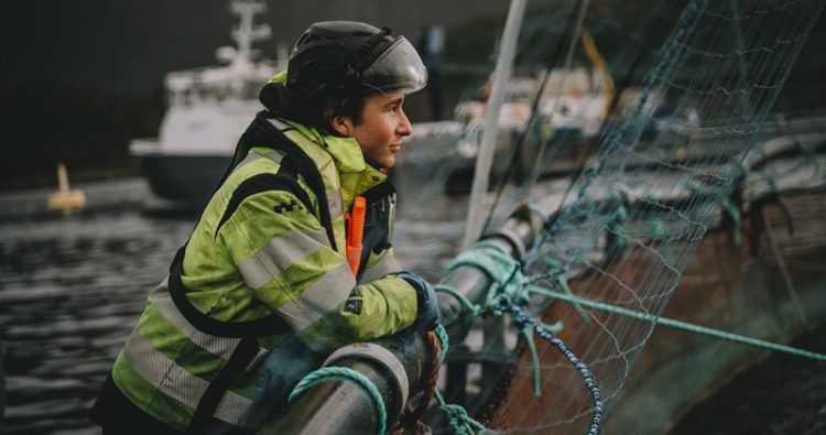 Måsøval anuncia resultados operativos negativos