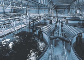 AKVA Group se acerca a contrato para nueva instalación de smolt en Cermaq Chile
