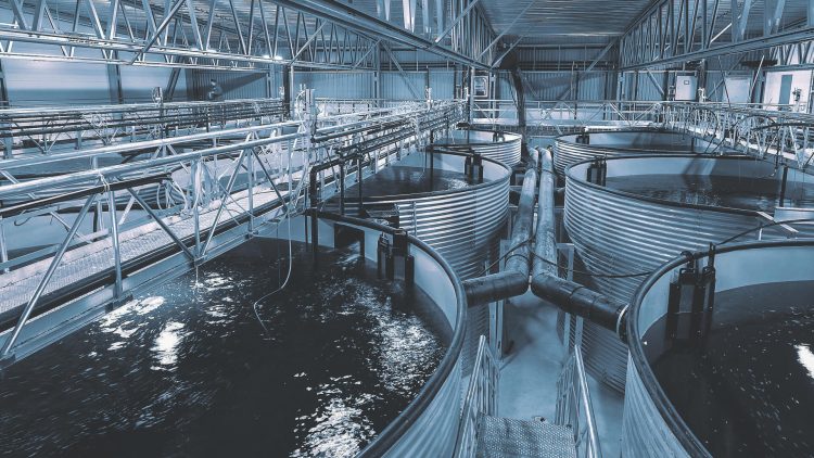 Foto: AKVA group / el valor de la inversión sería de más de 30 millones de dólares.