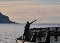 King Salmon y BioMar se unen en innovadora iniciativa de alimentación sostenible