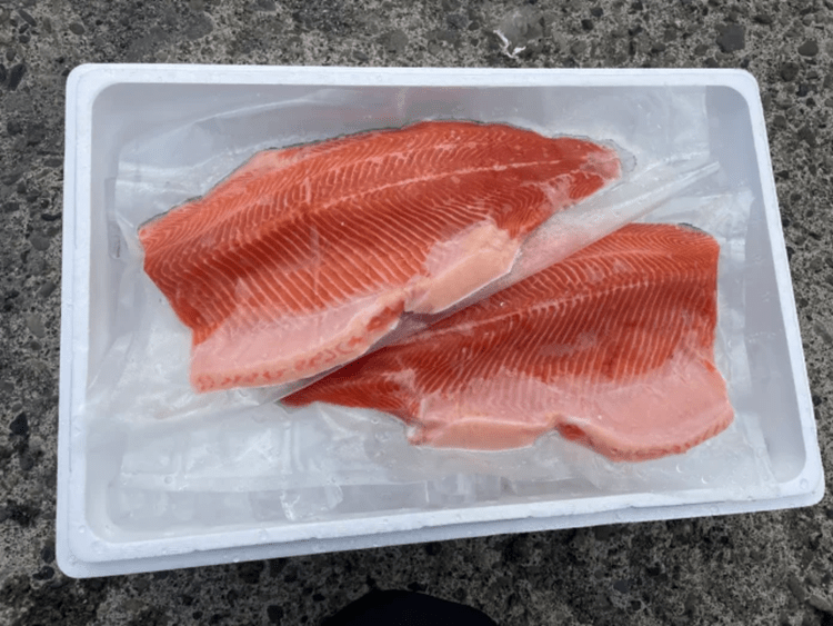 Créditos Oji Salmon Co.