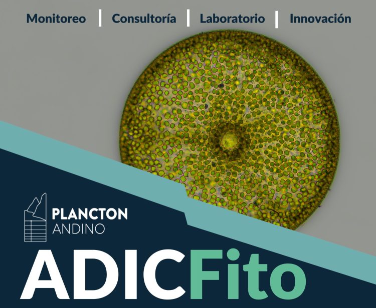 Plancton Andino anuncia nueva plataforma para el análisis digital del fitoplancton