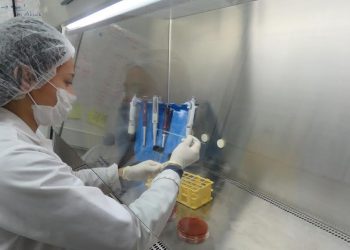 Desde la formación al mar: Oferta de investigación asociada a la salmonicultura