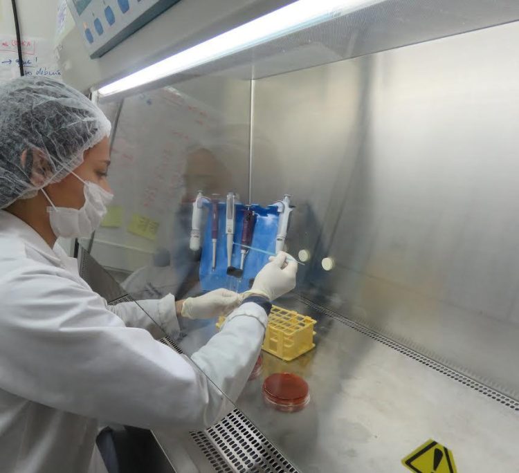 Desde la formación al mar: Oferta de investigación asociada a la salmonicultura