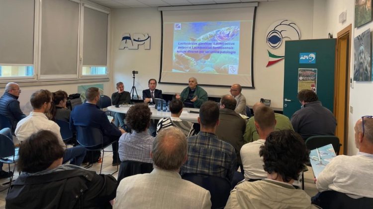 Foto: acquacoltura.org / SUPERTROUT: Éxito en la conferencia de Verona sobre los resultados finales del proyecto