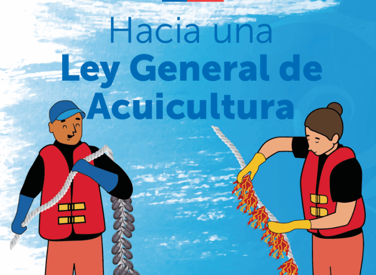 Foto: Subpesca / Se retomaron talleres sobre la ley de acuicultura.