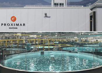 Foto: Proximar / Informe incluye avances operativos y proyecciones de crecimiento