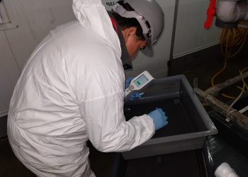 Proceso de auditorías de bioseguridad en pisciculturas. Resultados cuantitativos, expresados en Unidades Relativas de Luz (URL). Esto ayuda a obtener una definición de "qué es limpio", brindando una oportunidad de tomar acciones correctivas inmediatas. Créditos Aquabench.