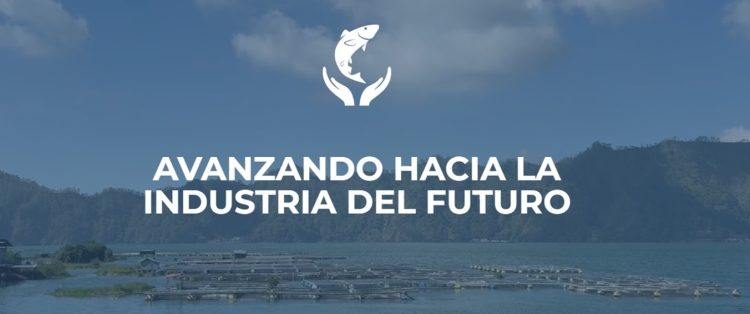 Abren postulaciones para los Premios «Salmón Sostenible 2024”