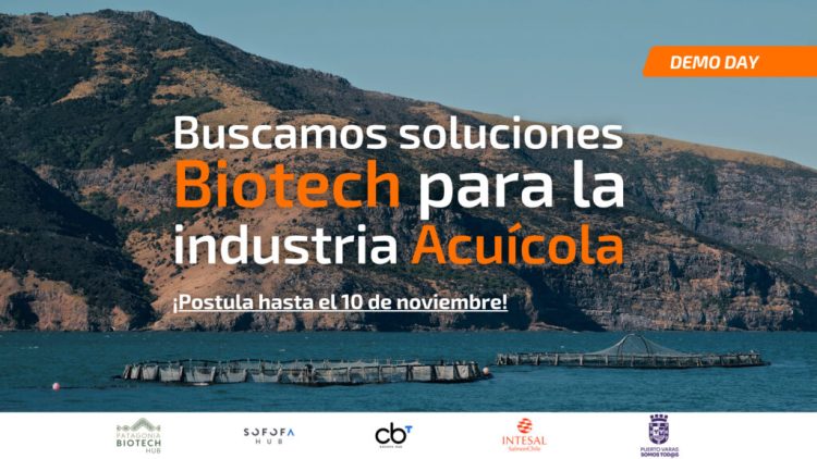 Quedan pocos días para postular al Bio Demo Day 2024 en Puerto Varas