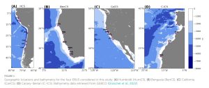 Estudian con IA el impacto del calentamiento global en sistemas de surgencia