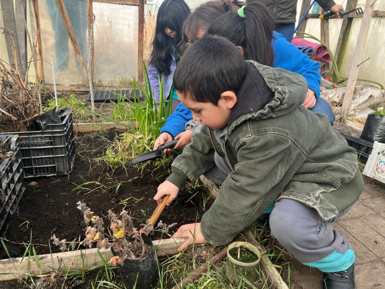 “Blumar en tu escuela” cierra su edición 2024 implementando invernaderos en tres colegios de Magallanes