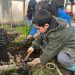 “Blumar en tu escuela” cierra su edición 2024 implementando invernaderos en tres colegios de Magallanes