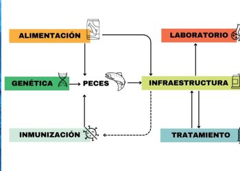 Categorías para clasificar las soluciones recopiladas. Créditos CBT.