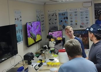 Expertos internacionales analizan posibles nuevas especies recolectadas en cruceros de investigación