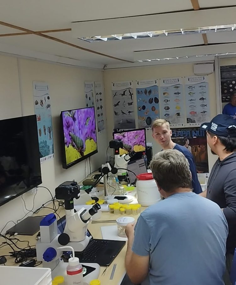 Expertos internacionales analizan posibles nuevas especies recolectadas en cruceros de investigación