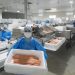 Salmonicultura al alza: Crece percepción positiva de la industria en oportunidades laborales y relación con las comunidades