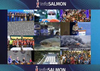 Descubre las noticias que marcaron la pauta en InfoSALMON 2024