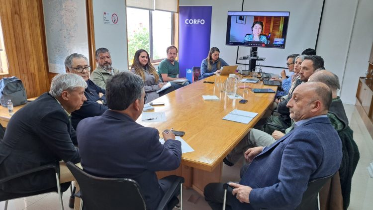 Corfo - Mesa público privada