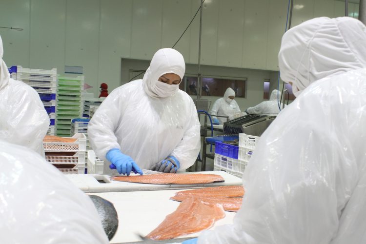 Consejo del Salmón precisa información sobre exportaciones chilenas en 2024.