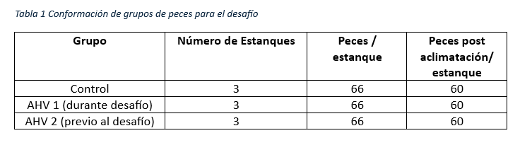 PreHarvest de AHV: Soluci&oacute;n innovadora para mejorar la supervivencia de salmones