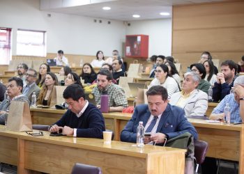 Innovación en Los Lagos: Estudio revela brechas en apoyo institucional y formación de talento