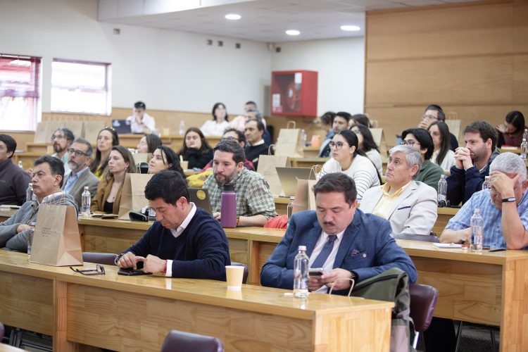 Innovación en Los Lagos: Estudio revela brechas en apoyo institucional y formación de talento