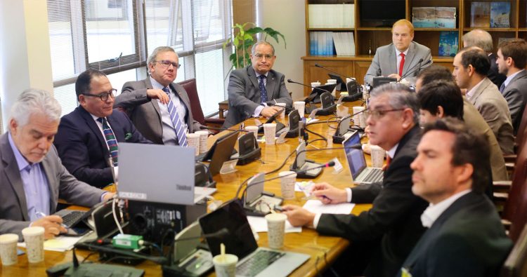 Consejo del Salmón plantea mejoras normativas en sesión sobre proyecto Ley Marco de Autorizaciones Sectoriales