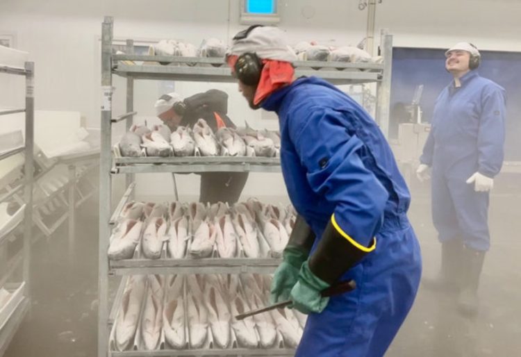 Créditos SalmonBusiness.