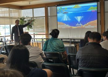 Expertos en alerta por baja de oxígeno en los fiordos de la Patagonia