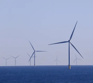 ¿Es compatible la producción de energía eólica marina con la acuicultura?