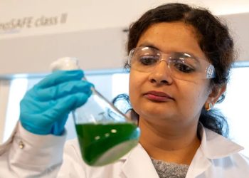 Algas convierten aguas residuales en biodiésel y productos farmacéuticos