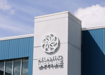 Atlantic Sapphire reporta crecimiento en peso y estabilidad biológica.