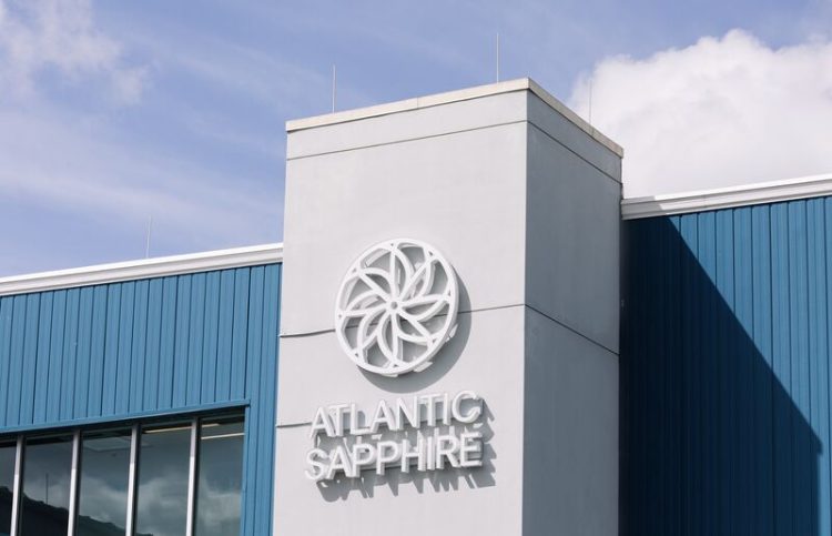 Atlantic Sapphire reporta crecimiento en peso y estabilidad biológica.