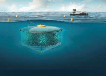 Representación de jaula de cultivo sumergible. Créditos: Atlantis Subsea Farming