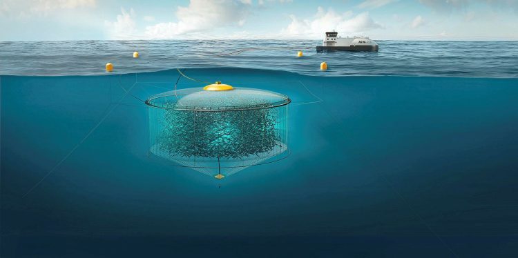 Representación de jaula de cultivo sumergible. Créditos: Atlantis Subsea Farming