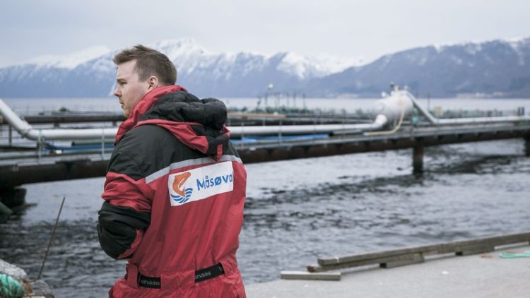 Måsøval reporta resultados mixtos en el 4T de 2024