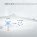 Nuevo capítulo de Immunology Series: Respuesta del salmón al virus IPNV