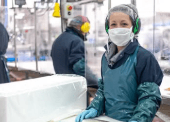 Certificaciones de la Global Seafood Alliance crecen un 5% en 2024