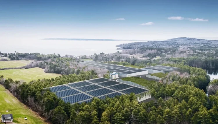 Las razones de Nordic Aquafarms para abandonar su proyecto en Maine